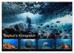 Neptun's Königreich (Wandkalender 2024 DIN A2 quer), CALVENDO Monatskalender - & Tilo Kühnast - naturepics, Yvonne