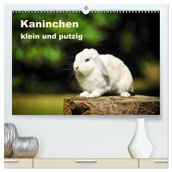 Kaninchen klein und putzig (hochwertiger Premium Wandkalender 2024 DIN A2 quer), Kunstdruck in Hochglanz