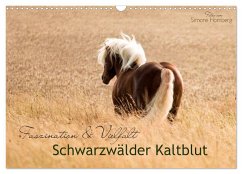 Faszination und Vielfalt - Schwarzwälder Kaltblut (Wandkalender 2024 DIN A3 quer), CALVENDO Monatskalender