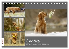 Chesley Kleiner Hund Grosses Abenteuer (Tischkalender 2024 DIN A5 quer), CALVENDO Monatskalender - Bea Müller, Hundfotografin