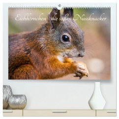 Eichhörnchen - die süßen Nussknacker (hochwertiger Premium Wandkalender 2024 DIN A2 quer), Kunstdruck in Hochglanz