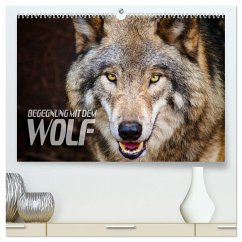 Begegnung mit dem Wolf (hochwertiger Premium Wandkalender 2024 DIN A2 quer), Kunstdruck in Hochglanz - Bleicher, Renate
