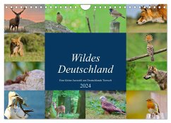 Wildes Deutschland (Wandkalender 2024 DIN A4 quer), CALVENDO Monatskalender