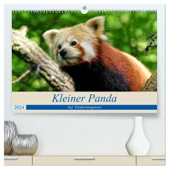 Kleiner Panda auf Entdeckungstour (hochwertiger Premium Wandkalender 2024 DIN A2 quer), Kunstdruck in Hochglanz - Hebgen, Peter