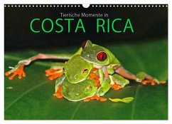 COSTA RICA - Tierische Momente (Wandkalender 2024 DIN A3 quer), CALVENDO Monatskalender