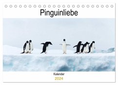 Pinguinliebe (Tischkalender 2024 DIN A5 quer), CALVENDO Monatskalender