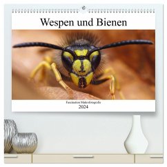 Faszination Makrofotografie: Wespen und Bienen (hochwertiger Premium Wandkalender 2024 DIN A2 quer), Kunstdruck in Hochglanz