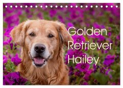Golden Retriever Hailey Fotokalender (Tischkalender 2024 DIN A5 quer), CALVENDO Monatskalender