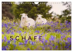 Schafe - Weich und wollig (Wandkalender 2024 DIN A4 quer), CALVENDO Monatskalender - Jackson, Lain