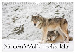 Mit dem Wolf durch's Jahr (Wandkalender 2024 DIN A4 quer), CALVENDO Monatskalender