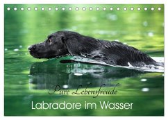Labradore im Wasser (Tischkalender 2024 DIN A5 quer), CALVENDO Monatskalender