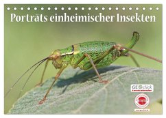 GEOclick Lernkalender: Porträts einheimischer Insekten (Tischkalender 2024 DIN A5 quer), CALVENDO Monatskalender