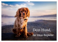 Dein Hund der treue Begleiter (Wandkalender 2024 DIN A2 quer), CALVENDO Monatskalender