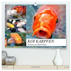 Koi Karpfen. Blickfang und Glücksbringer (hochwertiger Premium Wandkalender 2024 DIN A2 quer), Kunstdruck in Hochglanz