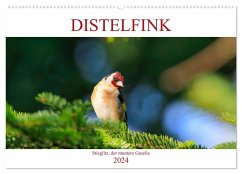 Distelfink (Wandkalender 2024 DIN A2 quer), CALVENDO Monatskalender