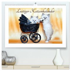Lustiger Katzenkalender (hochwertiger Premium Wandkalender 2024 DIN A2 quer), Kunstdruck in Hochglanz