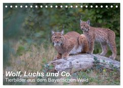 Wolf, Luchs und Co. - Tierbilder aus dem Bayerischen Wald (Tischkalender 2024 DIN A5 quer), CALVENDO Monatskalender