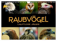 Raubvögel - lautlose Jäger (Wandkalender 2024 DIN A4 quer), CALVENDO Monatskalender