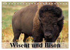 Wisent und Bison (Tischkalender 2024 DIN A5 quer), CALVENDO Monatskalender - Stanzer, Elisabeth