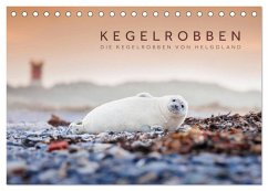 Kegelrobben - Die Kegelrobben von Helgoland (Tischkalender 2024 DIN A5 quer), CALVENDO Monatskalender - Jackson, Lain