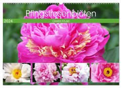 Pfingstrosenblüten (Wandkalender 2024 DIN A2 quer), CALVENDO Monatskalender