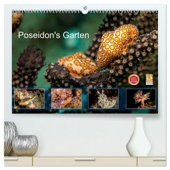 Poseidon's Garten (hochwertiger Premium Wandkalender 2024 DIN A2 quer), Kunstdruck in Hochglanz