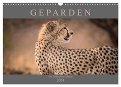Geparden - Die Schönheiten Afrikas (Wandkalender 2024 DIN A3 quer), CALVENDO Monatskalender