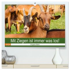 Mit Ziegen ist immer was los! (hochwertiger Premium Wandkalender 2024 DIN A2 quer), Kunstdruck in Hochglanz