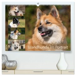Islandhunde im Portrait (hochwertiger Premium Wandkalender 2024 DIN A2 quer), Kunstdruck in Hochglanz