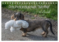 Rauhaardackel Motte & Friends (Tischkalender 2024 DIN A5 quer), CALVENDO Monatskalender