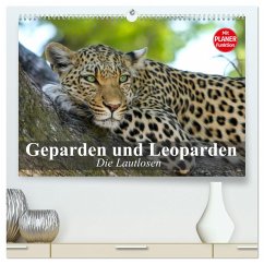 Die Lautlosen. Geparden und Leoparden (hochwertiger Premium Wandkalender 2024 DIN A2 quer), Kunstdruck in Hochglanz