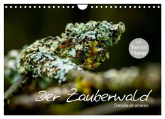 Der Zauberwald - Detailaufnahmen mit Planer (Wandkalender 2024 DIN A4 quer), CALVENDO Monatskalender