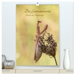 Die Gottesanbeterin. Räuber der Insektenwelt. (hochwertiger Premium Wandkalender 2024 DIN A2 hoch), Kunstdruck in Hochglanz