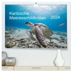 Karibische Meeresschildkröten (hochwertiger Premium Wandkalender 2024 DIN A2 quer), Kunstdruck in Hochglanz