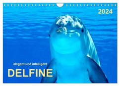 Delfine - elegant und intelligent (Wandkalender 2024 DIN A4 quer), CALVENDO Monatskalender