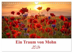 Ein Traum von Mohn (Wandkalender 2024 DIN A4 quer), CALVENDO Monatskalender