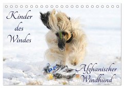 Kinder des Windes - Afghanischer Windhund (Tischkalender 2024 DIN A5 quer), CALVENDO Monatskalender