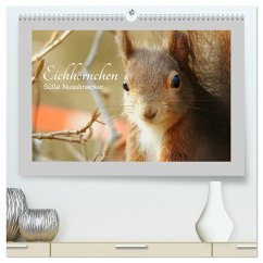 Eichhörnchen - Süße Nussknacker (hochwertiger Premium Wandkalender 2024 DIN A2 quer), Kunstdruck in Hochglanz - Fofino