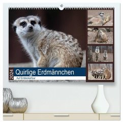 Quirlige Erdmännchen (hochwertiger Premium Wandkalender 2024 DIN A2 quer), Kunstdruck in Hochglanz