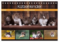 Katzenkinder - Britisch Kurzhaar (Tischkalender 2024 DIN A5 quer), CALVENDO Monatskalender