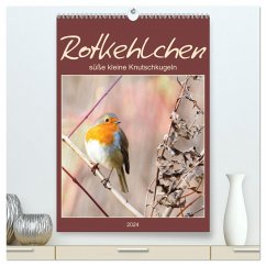 Rotkehlchen, süße kleine Knutschkugeln (hochwertiger Premium Wandkalender 2024 DIN A2 hoch), Kunstdruck in Hochglanz