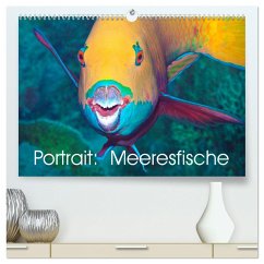 Portrait: Meeresfische (hochwertiger Premium Wandkalender 2024 DIN A2 quer), Kunstdruck in Hochglanz