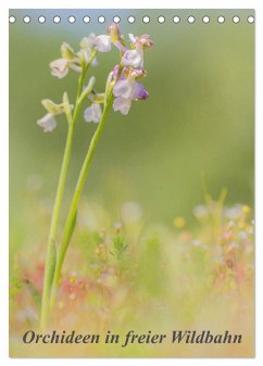 Orchideen in freier Wildbahn (Tischkalender 2024 DIN A5 hoch), CALVENDO Monatskalender