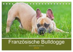 Französische Bulldogge - Kleine Helden auf vier Pfoten (Tischkalender 2024 DIN A5 quer), CALVENDO Monatskalender