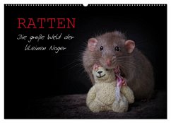 Ratten. Die große Welt der kleinen Nager (Wandkalender 2024 DIN A2 quer), CALVENDO Monatskalender