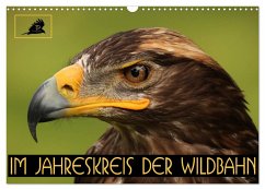 Im Jahreskreis der Wildbahn (Wandkalender 2024 DIN A3 quer), CALVENDO Monatskalender - Stamm, Dirk