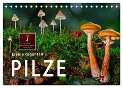 Pilze - kleine Giganten (Tischkalender 2024 DIN A5 quer), CALVENDO Monatskalender