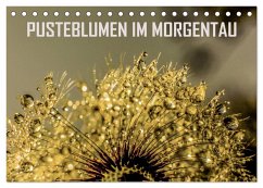 Pusteblumen im Morgentau (Tischkalender 2024 DIN A5 quer), CALVENDO Monatskalender