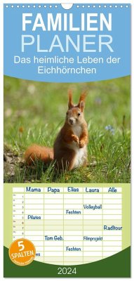Familienplaner 2024 - Das heimliche Leben der Eichhörnchen mit 5 Spalten (Wandkalender, 21 x 45 cm) CALVENDO - Kattobello