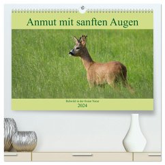 Anmut mit sanften Augen - Rehwild in der freien Natur (hochwertiger Premium Wandkalender 2024 DIN A2 quer), Kunstdruck in Hochglanz